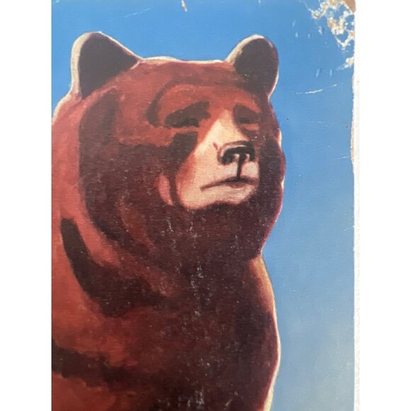 Vintage Cub Scout Books Trio: Wolf Bear & Lion-Webelos Editions 1954 Illustrated - Picture 7 of 7